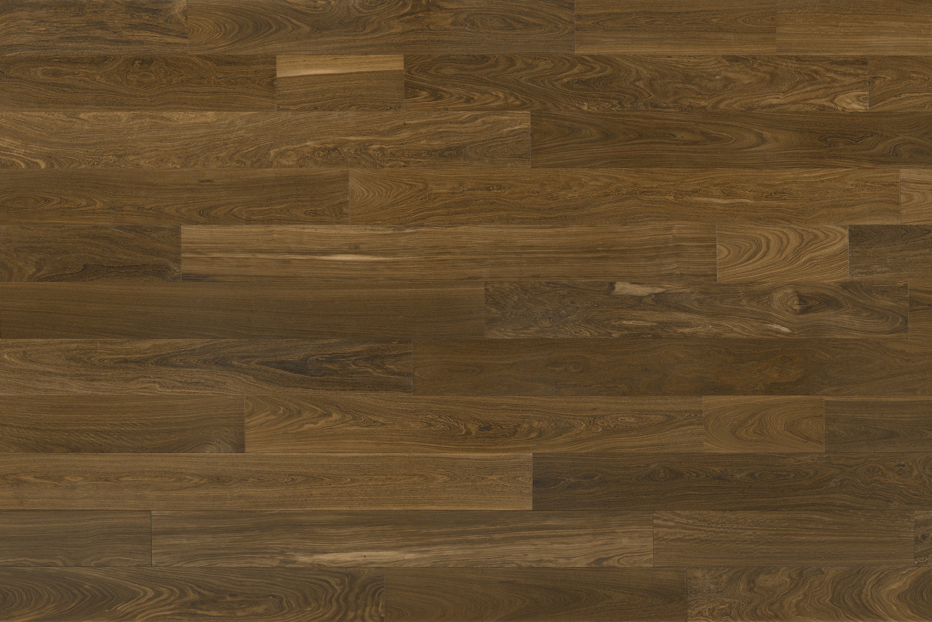 Black Walnut Sample