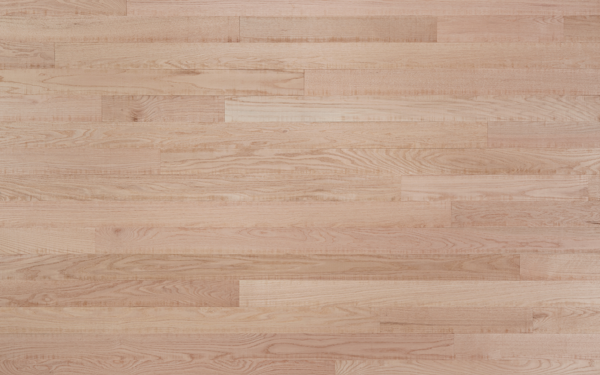 Red Oak Sample