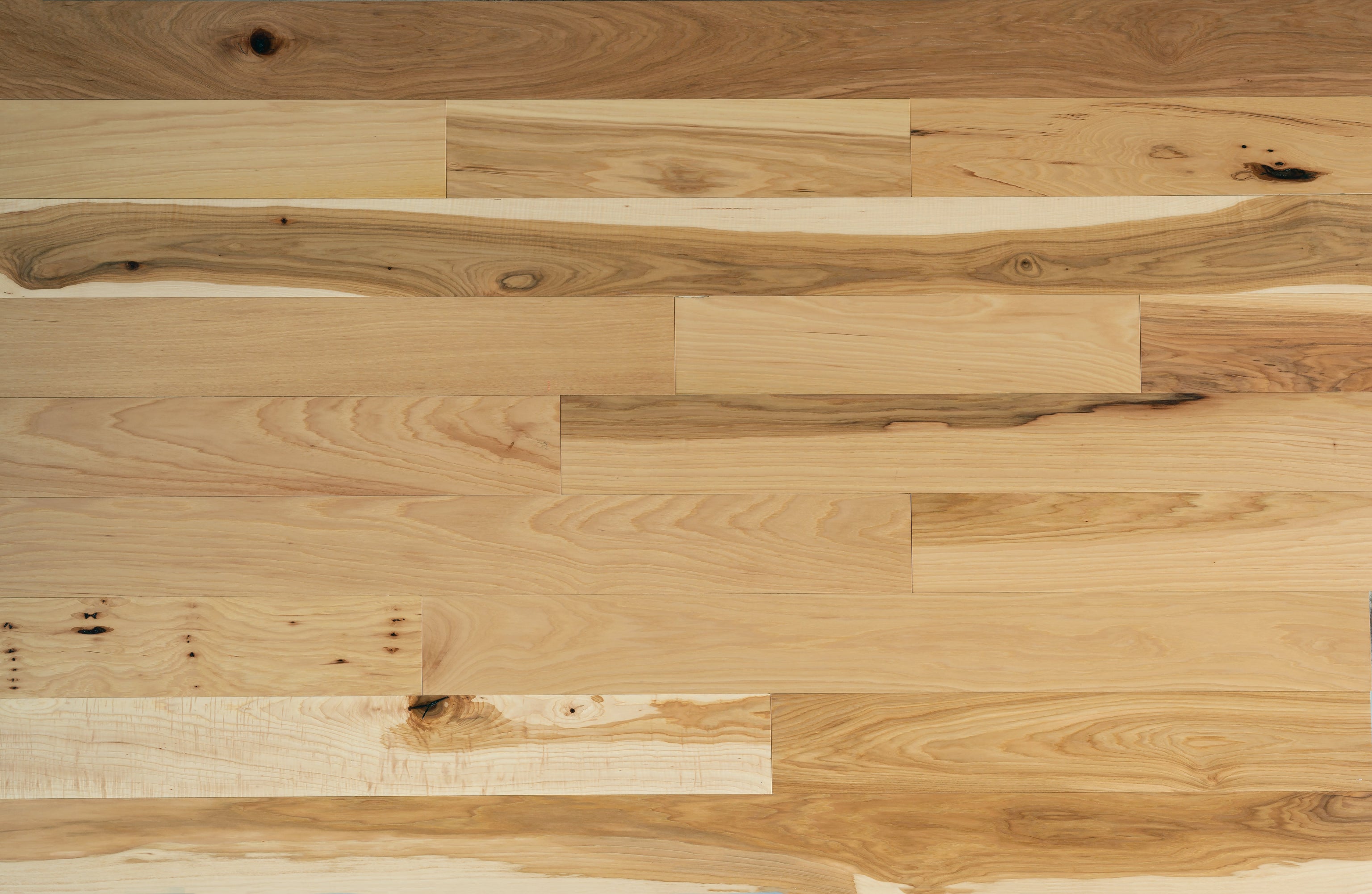 Hickory Sample